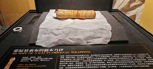 博物与艺术 / 046