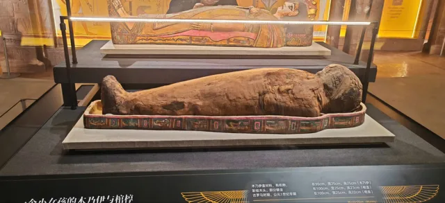 博物与艺术 / 051